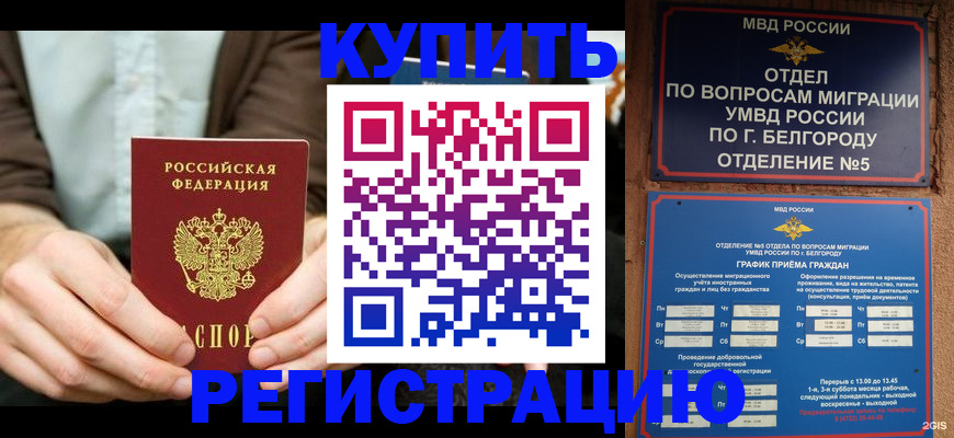 прописка 2025 в Донском
